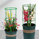 Anel de suporte para plantas