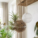 Bolas de suspensão transparentes para plantas penduradas