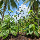 Treliça colmeia para plantas