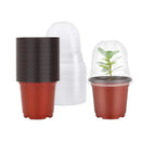 Decoração com vasos para varanda