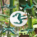 Clipes para plantas trepadeiras jardim e estufa