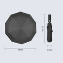 UmbrellaSafe LED