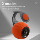 CaudaPet – Bola Automática