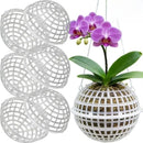 Decoração com plantas penduradas