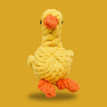 Pato